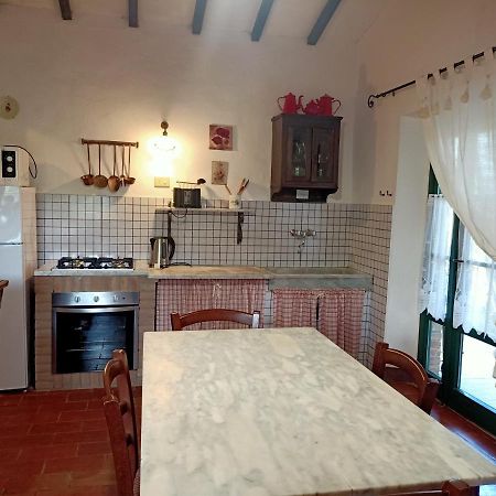 Piccolo Sole Villa Montescudaio Kültér fotó