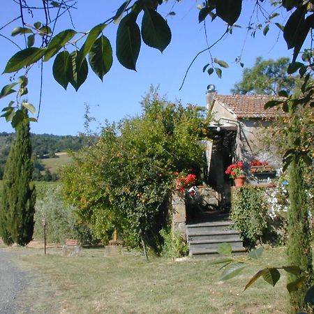 Piccolo Sole Villa Montescudaio Kültér fotó