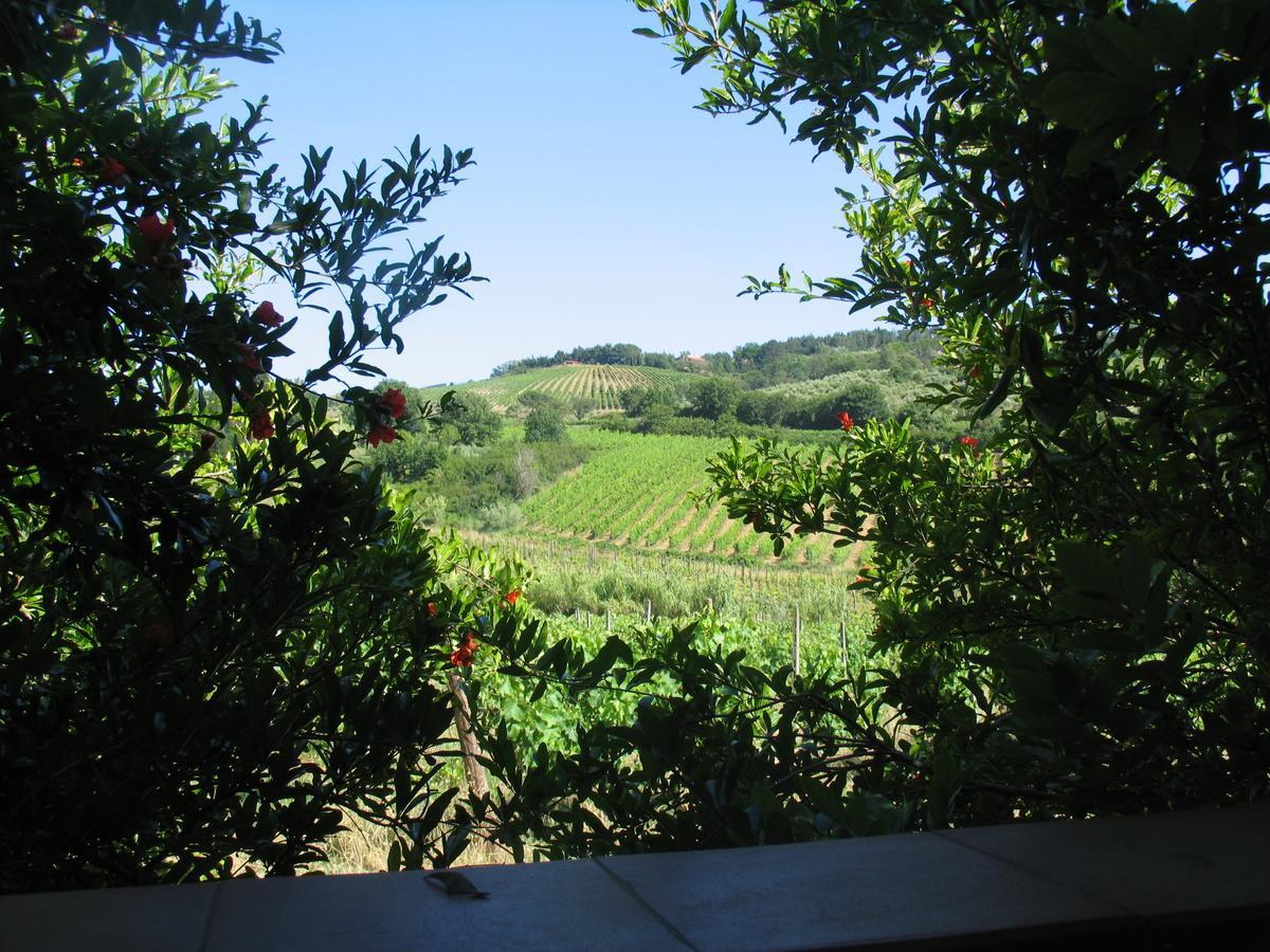 Piccolo Sole Villa Montescudaio Kültér fotó