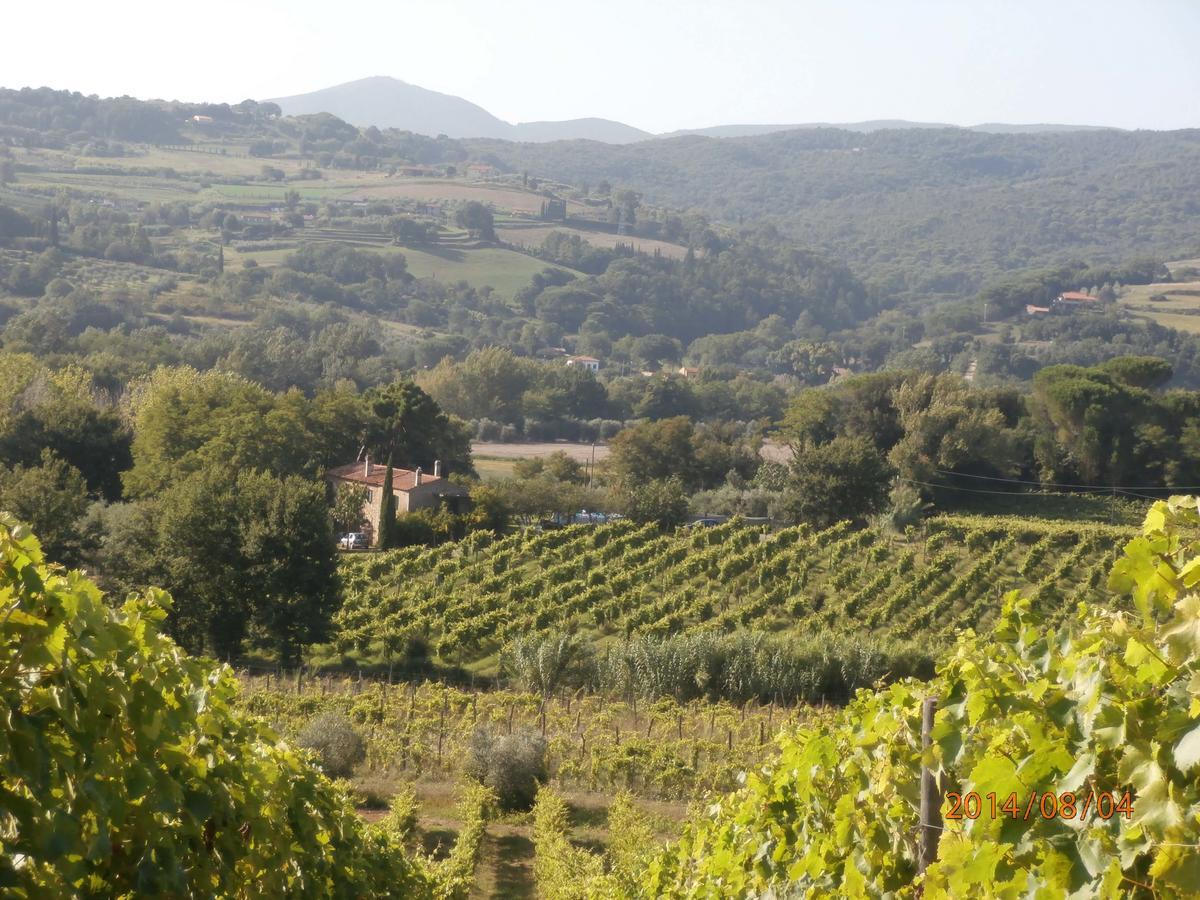 Piccolo Sole Villa Montescudaio Kültér fotó