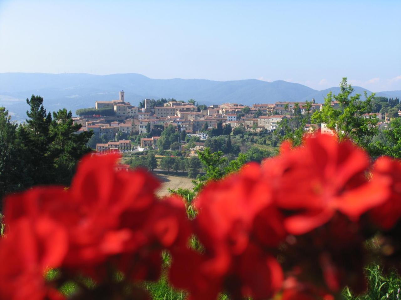 Piccolo Sole Villa Montescudaio Kültér fotó