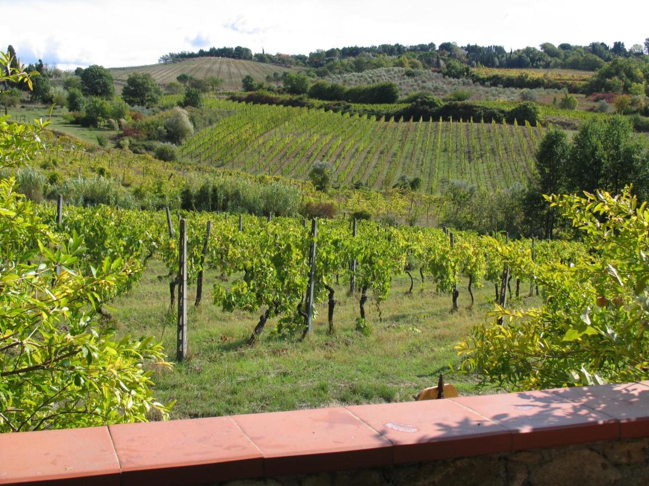 Piccolo Sole Villa Montescudaio Kültér fotó